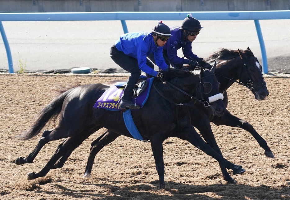 ＜マイルCS＞併せで追い切るフィアスプライド（手前）（撮影・村上　大輔）