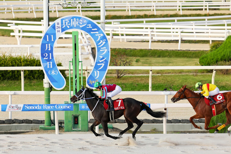 兵庫JG・ハッピーマンと坂井瑠星騎手（提供：兵庫県競馬組合）