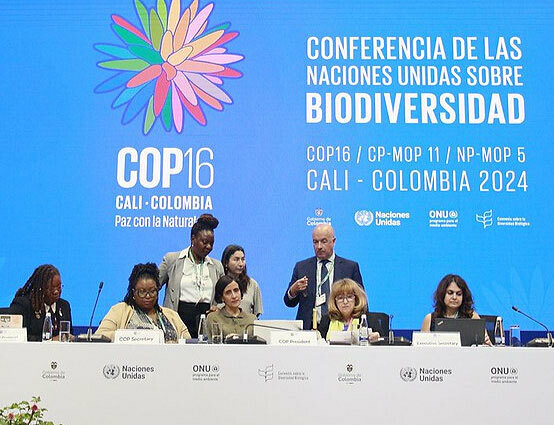 COP16の議長団の様子。前列左から3人目がCOP16の議長を務めたコロンビア政府環境相のスサナ・ムハマド氏（生物多様性条約事務局提供）