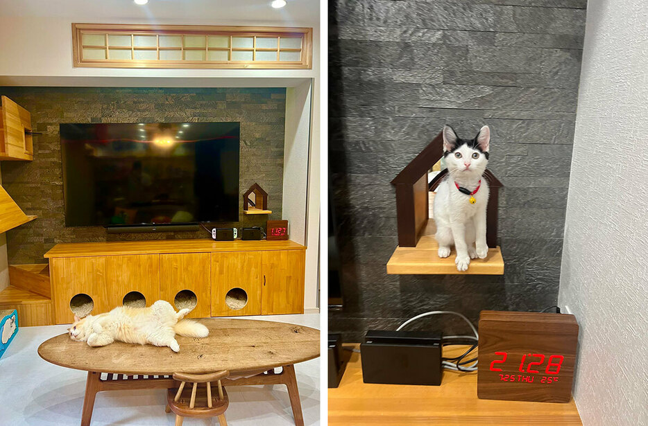 （左）テレビの下は猫の部屋。テレビの横にスリット窓を設置　（右）テレビの横に設けたリビングと玄関を自由に行き来できるスリット窓（画像提供／なみそさん）