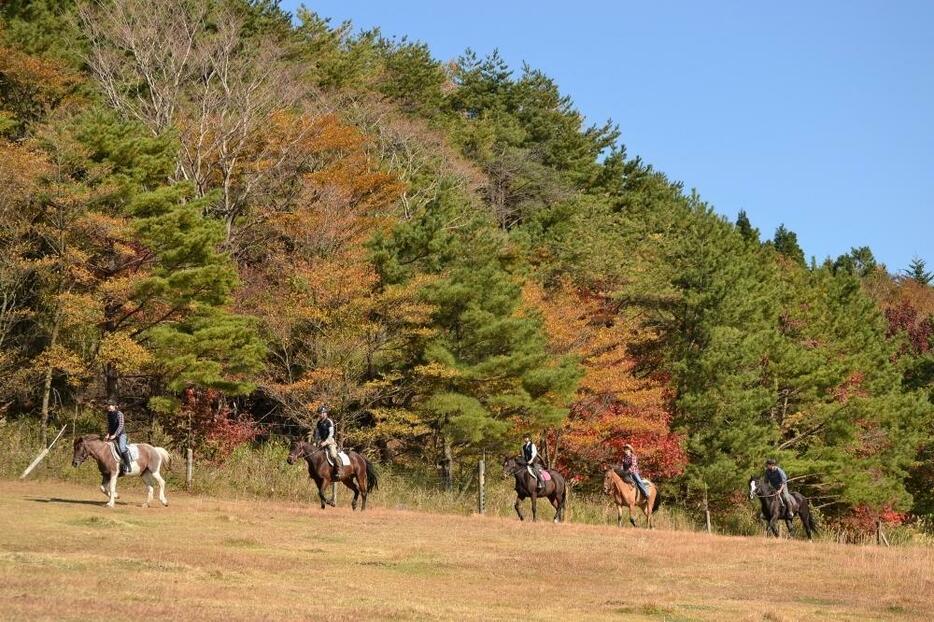 初めての子どもから上級者まで楽しめる放牧地のトレッキング（霧島アート牧場提供）