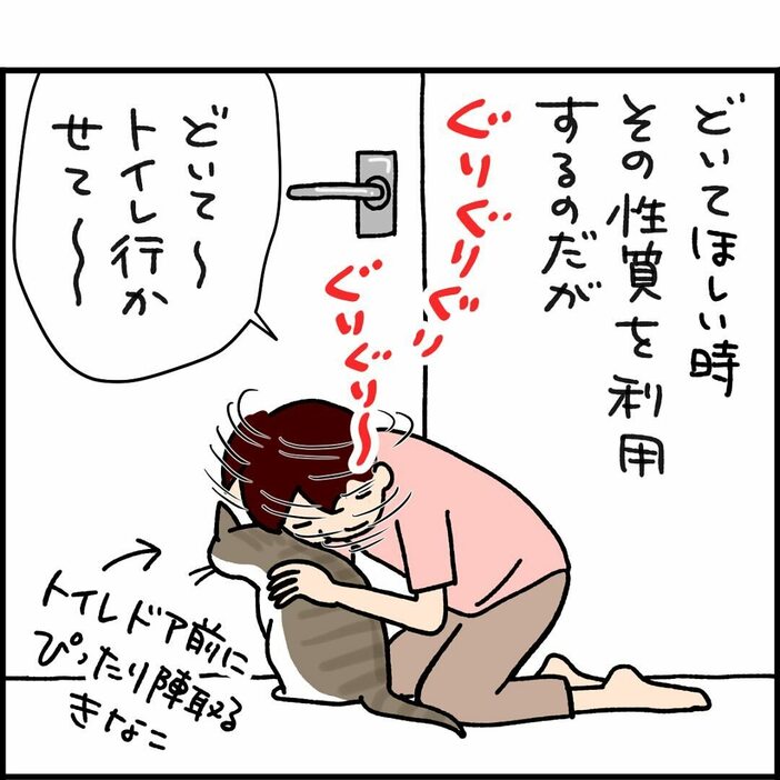 漫画「常に逆をいく猫」のカット（ぱるぱーるさん提供）