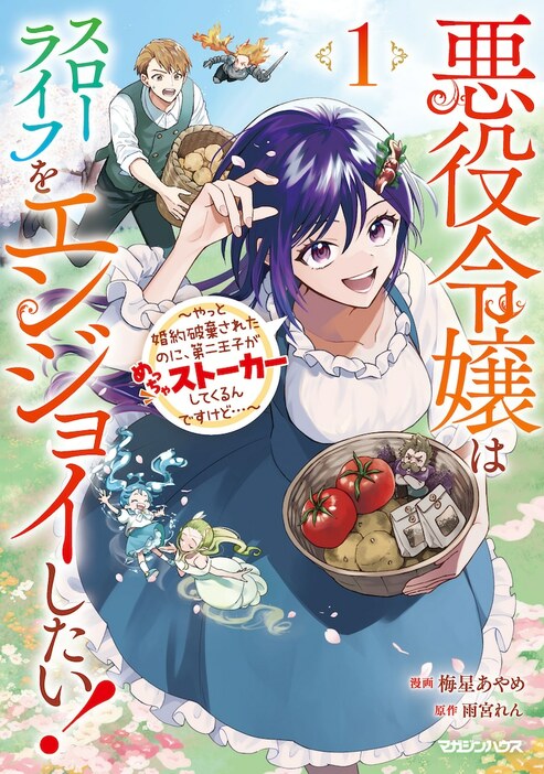 「悪役令嬢はスローライフをエンジョイしたい！～やっと婚約破棄されたのに、第二王子がめっちゃストーカーしてくるんですけど…～」1巻