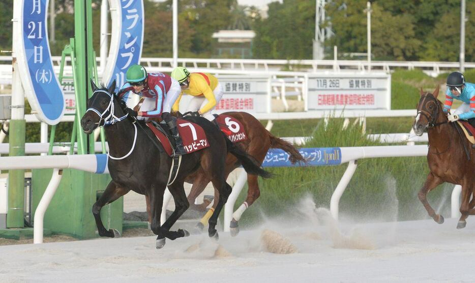 兵庫ジュニアGPを制したハッピーマン＝尼崎市・園田競馬場（撮影・林俊志）