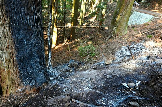 全焼した車の中からブィ・クォン・トゥンさんの遺体が見つかった現場。木や葉などが焦げた跡があった=2024年2月10日午前11時42分、千葉県大多喜町、マハール有仁州撮影