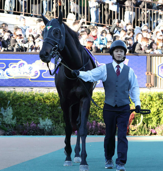 東京12R、ジャパンCに出走したジャスティンパレス（撮影・丹羽敏通）