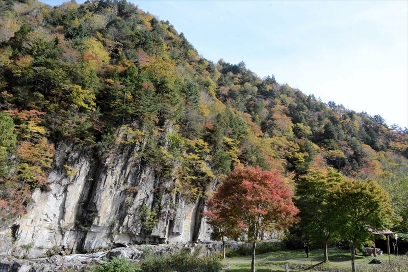 白い岩肌と紅葉が映える屏風岩周辺＝日午後