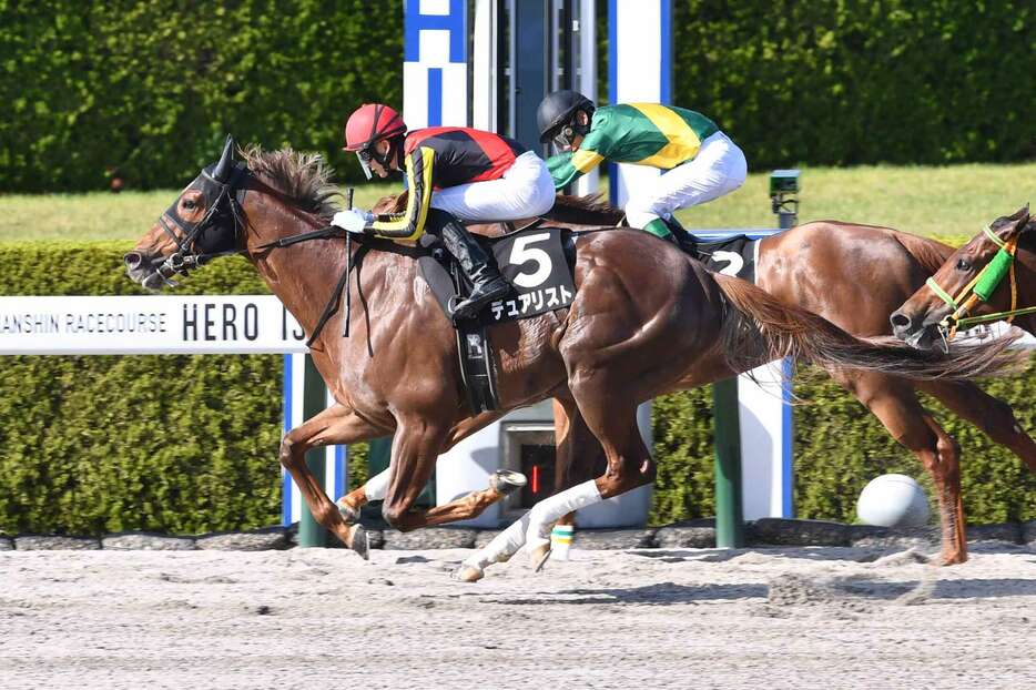 大井競馬へ移籍するデュアリスト