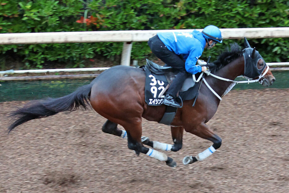 ２連勝中のエイシンワンドはここでも当然楽しみがある