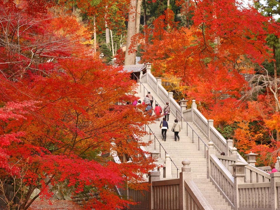 提供：法多山尊永寺