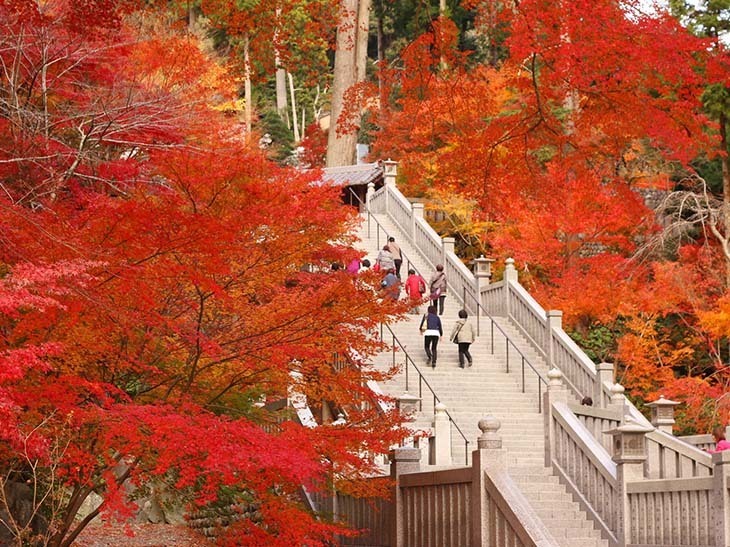 法多山 尊永寺。提供：法多山 尊永寺