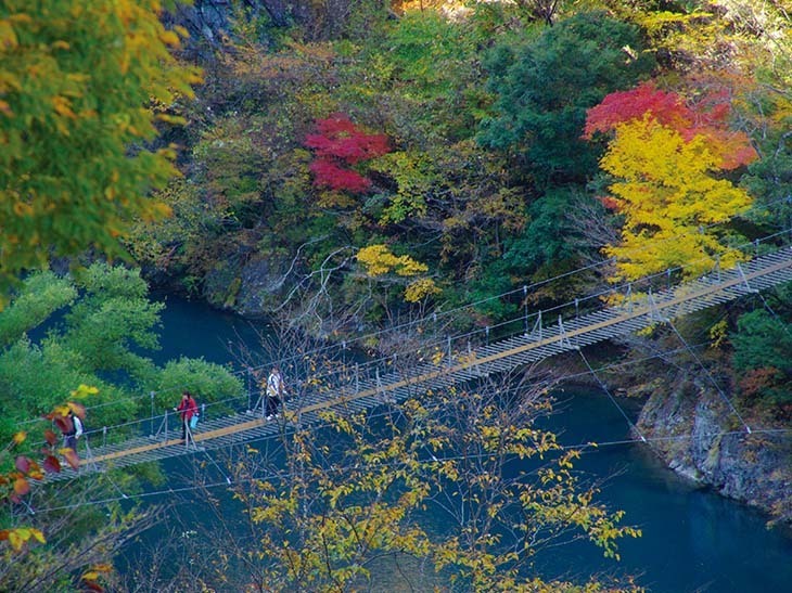 「夢の吊り橋」。提供：静岡県観光協会