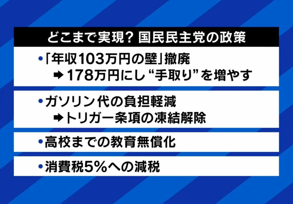 国民民主党の政策