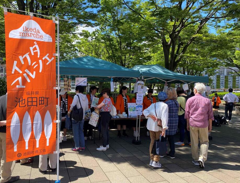 過去の「浦安マーケット」