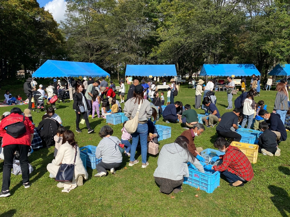 野菜詰め放題では袋いっぱいにジャガイモとタマネギを詰める