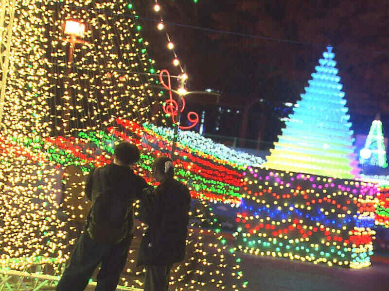 園内を彩るイルミネーション＝海津市海津町、木曽三川公園センター