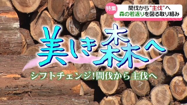 テレビ金沢NEWS