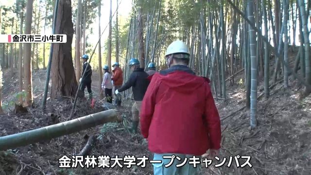 テレビ金沢NEWS