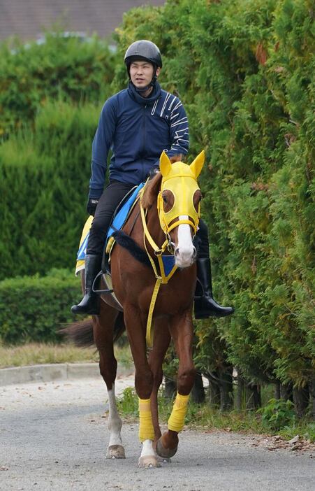 昨年の天皇賞・春以来の実戦となるボルドグフーシュ