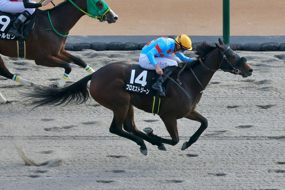 オキザリス賞・プロミストジーンとT.マーカンド騎手