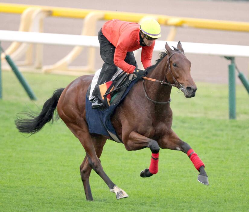 　１９年ぶりの外国馬勝利へ自信を見せるゴリアット（撮影・西岡正）