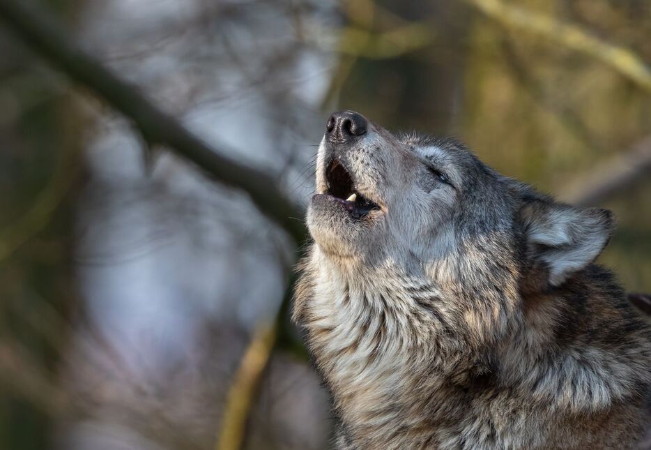 ※写真はイメージです - 写真＝iStock.com／Andyworks