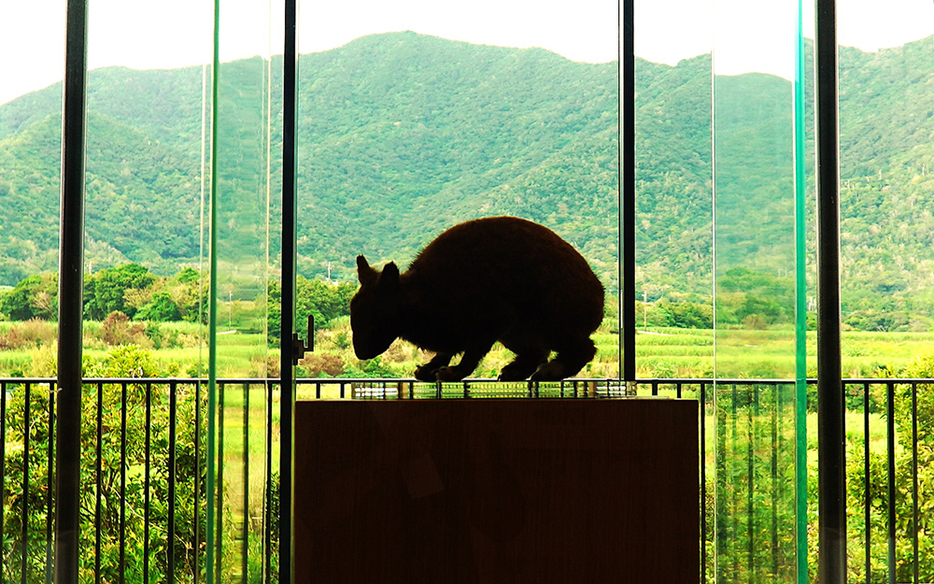 雄大な国立公園区域の眺望を楽しみながらリラックスできる