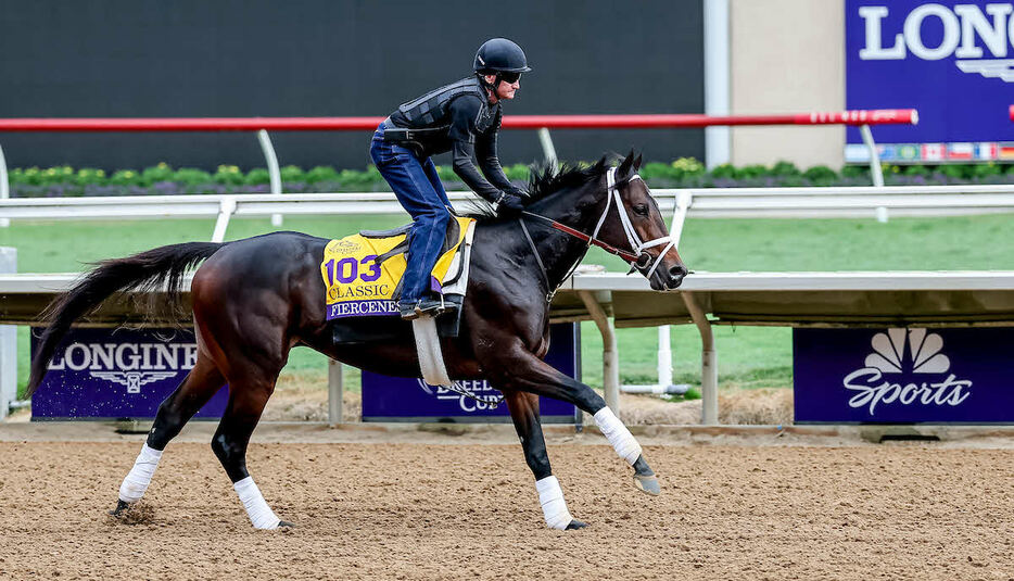 28日朝、調教を行うフィアースネス（（C）Tim Sudduth／Eclipse Sportswire／Breeders Cup）