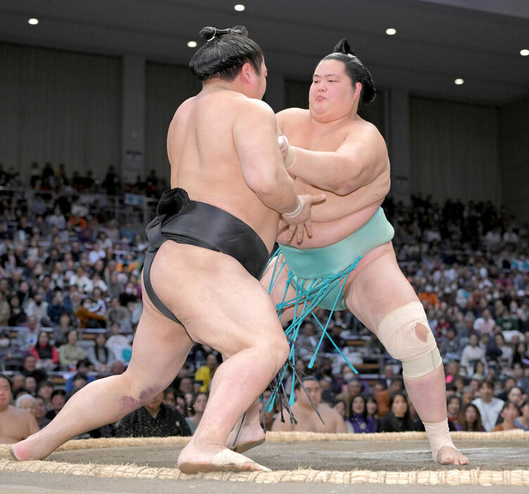 若元春（左）を押し出しで下し１０勝目を挙げた琴桜（カメラ・今西　淳）