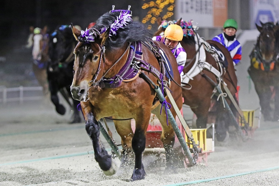 ドリームエイジカップ・メムロボブサップと阿部武臣騎手 (C)ばんえい十勝