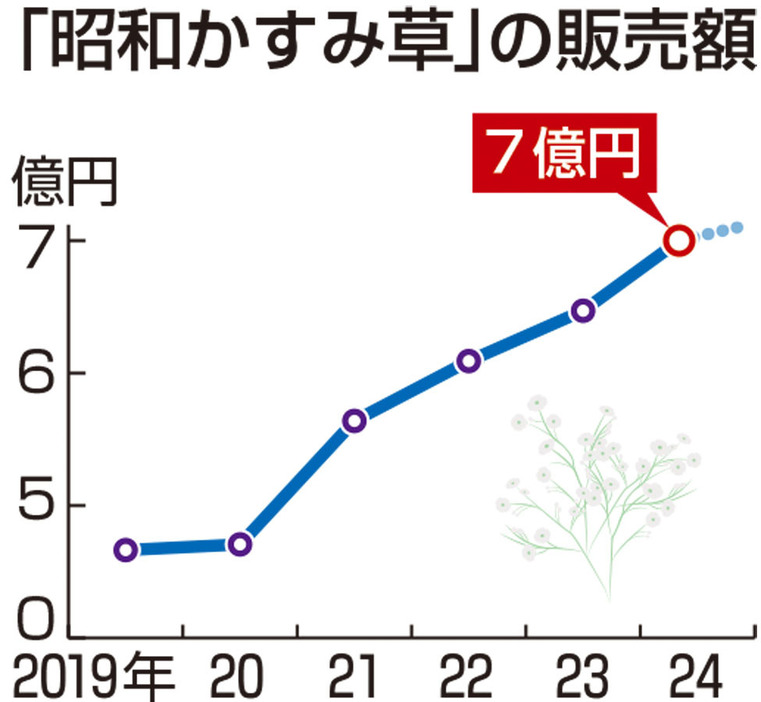 昭和かすみ草の販売額