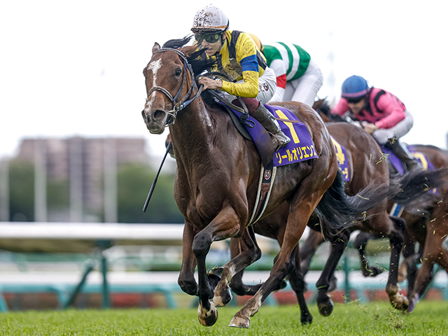 史上初の“12番勝利”を狙うソールオリエンス(撮影：下野雄規)