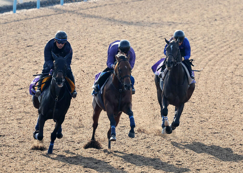 川田騎手を背に美浦ウッドを3頭併せで追い切るスターズオンアース（右）（撮影・鈴木正人）