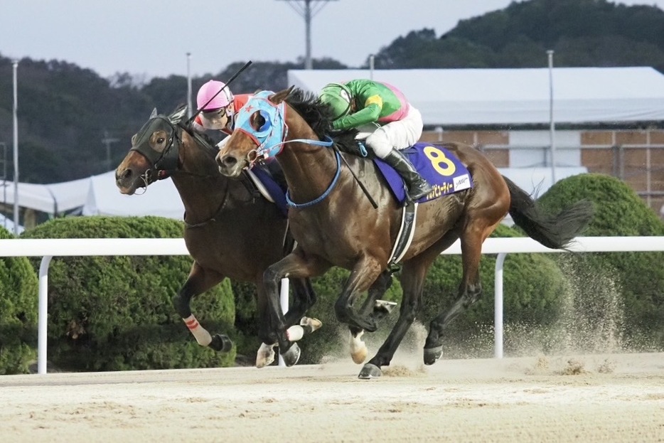 JBCスプリント・タガノビューティーと石橋脩騎手 (C)Y.Shigeyama