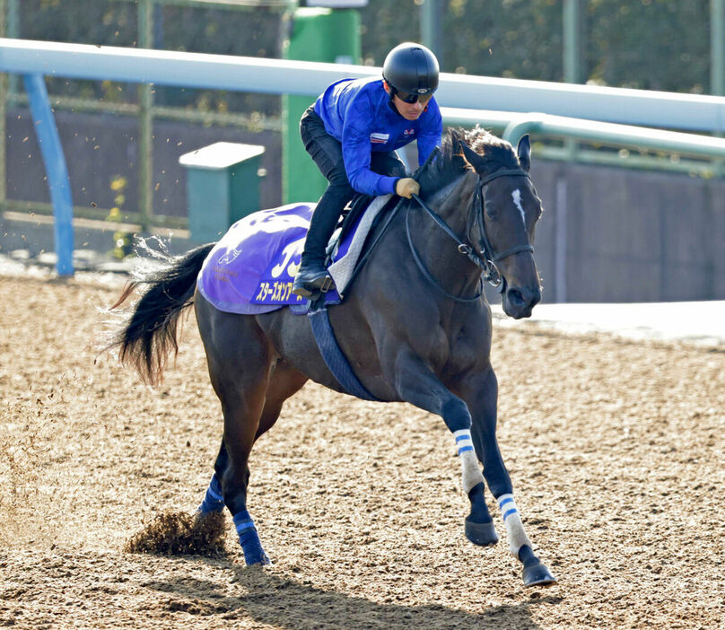 Wコースで１週前追い切りを行ったスターズオンアース（馬上は川田将雅騎手）（カメラ・荒牧　徹）