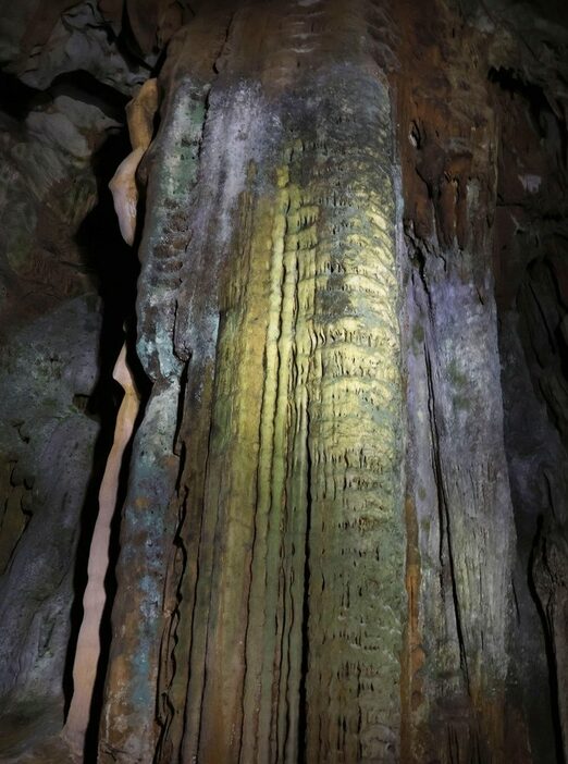 秋芳洞の黄金柱＝2024年10月5日、山口県美祢市