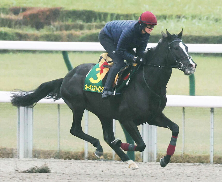 ２日連続で時計を出したオーギュストロダン（カメラ・池内　雅彦）