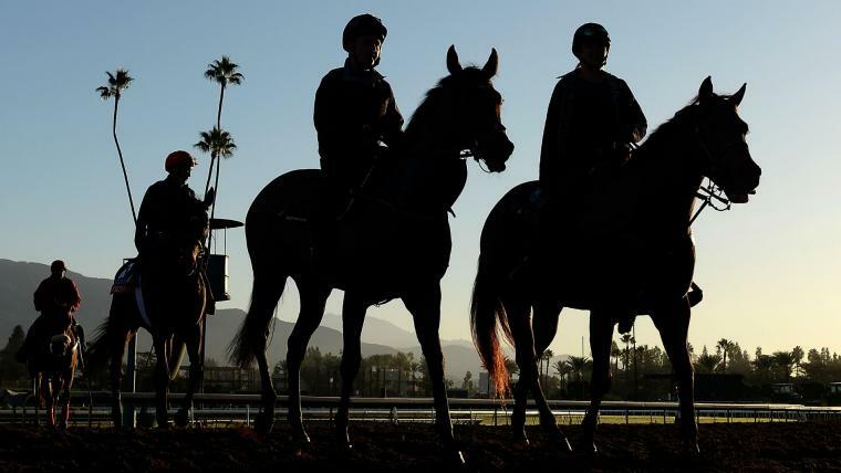 ブリーダーズカップフィリー＆メアターフが日本時間3日にデルマー競馬場で行われる