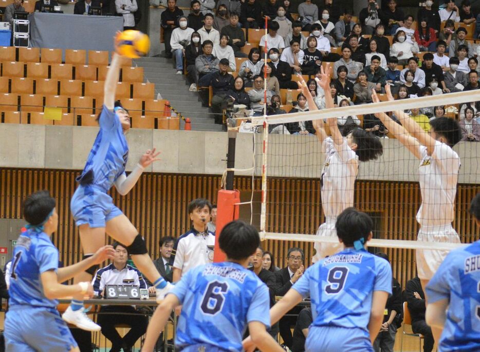 豪快なスパイクを放つ浜松修学舎の選手＝10日、静岡市駿河区の「このはなアリーナ」