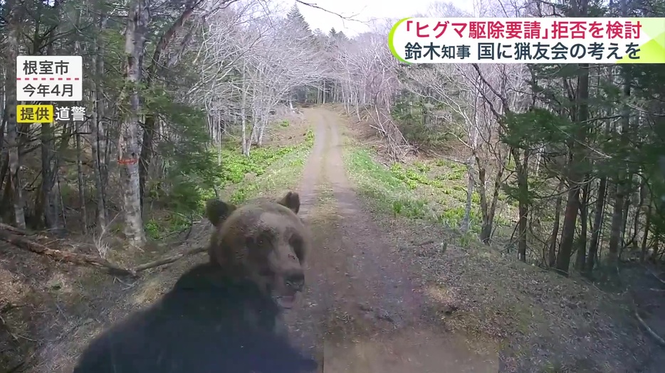 北海道猟友会が「ヒグマの駆除要請」の拒否を検討