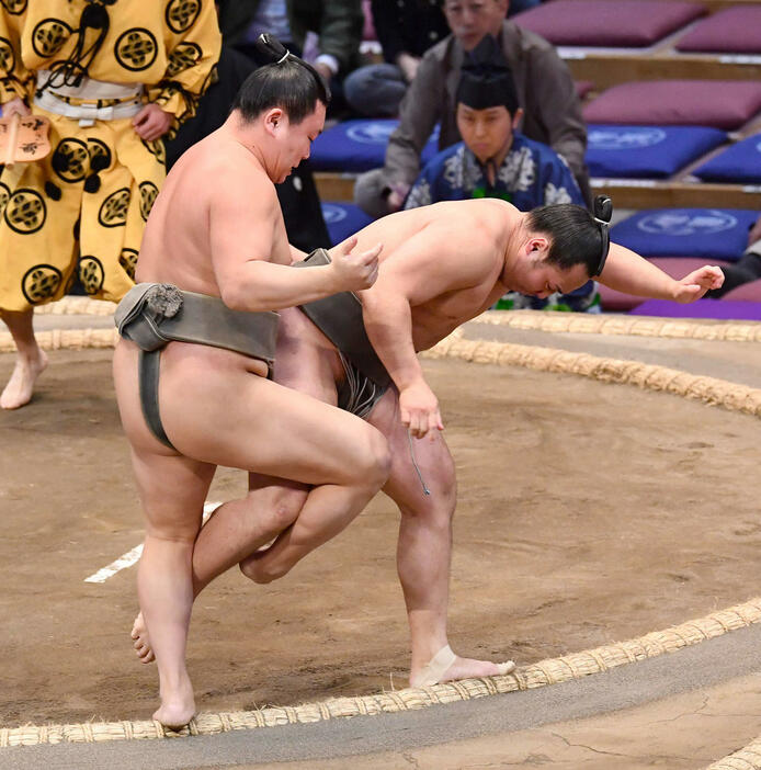 大相撲九州場所8日目　朝乃若（左）は須山をひっかけで破る（撮影・岩下翔太）