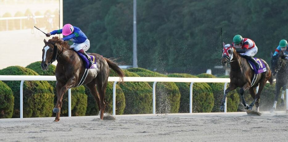 JBCレディスクラシックで2着に敗れたグランブリッジ（緑帽）＝佐賀競馬場（撮影・岩川晋也）