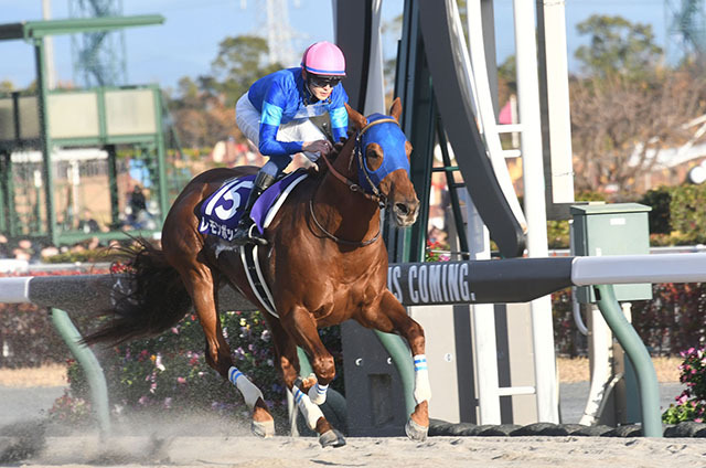 初めて8枠で連対馬となったレモンポップ(c)netkeiba