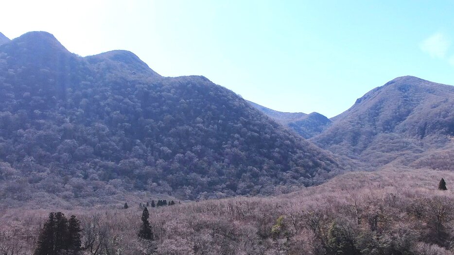 大分放送