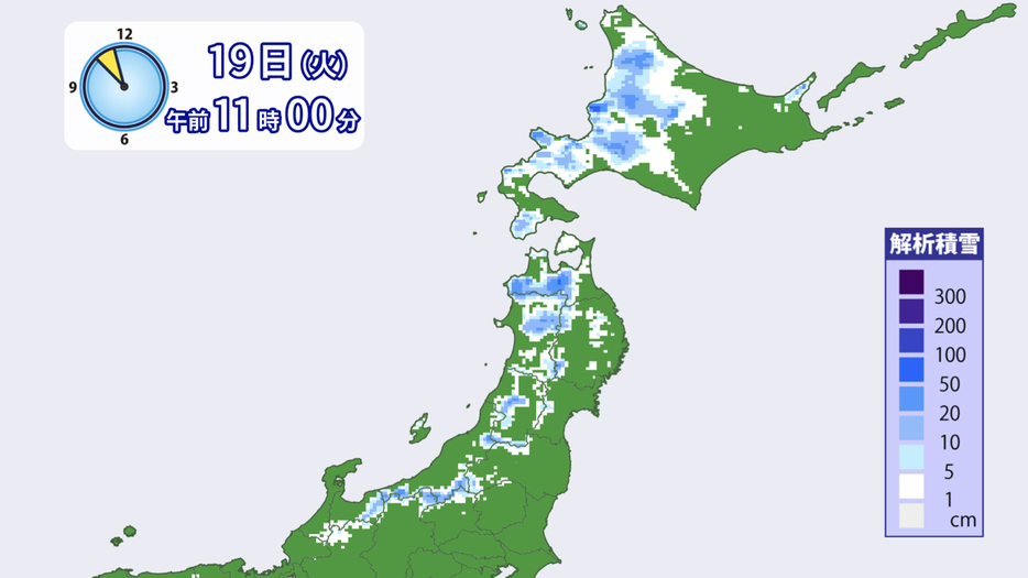 19日(火)午前11時点の積雪の深さ