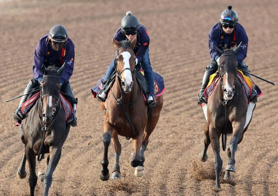 チェルヴィニア（中央）は3頭併せで馬なりのまま楽々と併入した＝美浦トレセン（撮影・塩浦孝明）