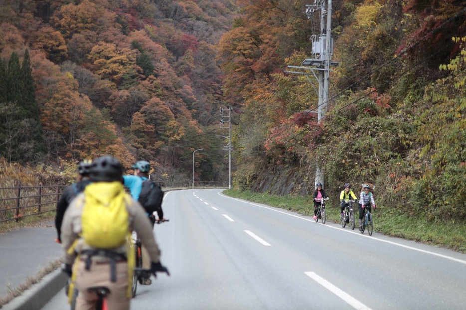 写真：Bicycle Club