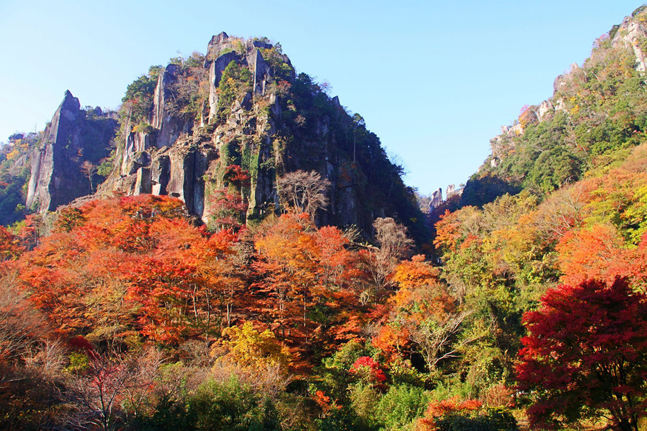 紅葉スポット（画像イメージ／写真AC）