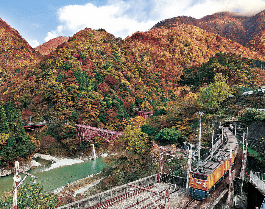 最盛期の紅葉の中を走るトロッコ電車＝１４日、黒部峡谷鉄道宇奈月駅付近