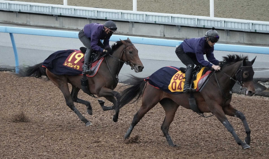 ウッドチップコース、併せ馬で追い切るレガレイラ（左）（撮影・郡司修）